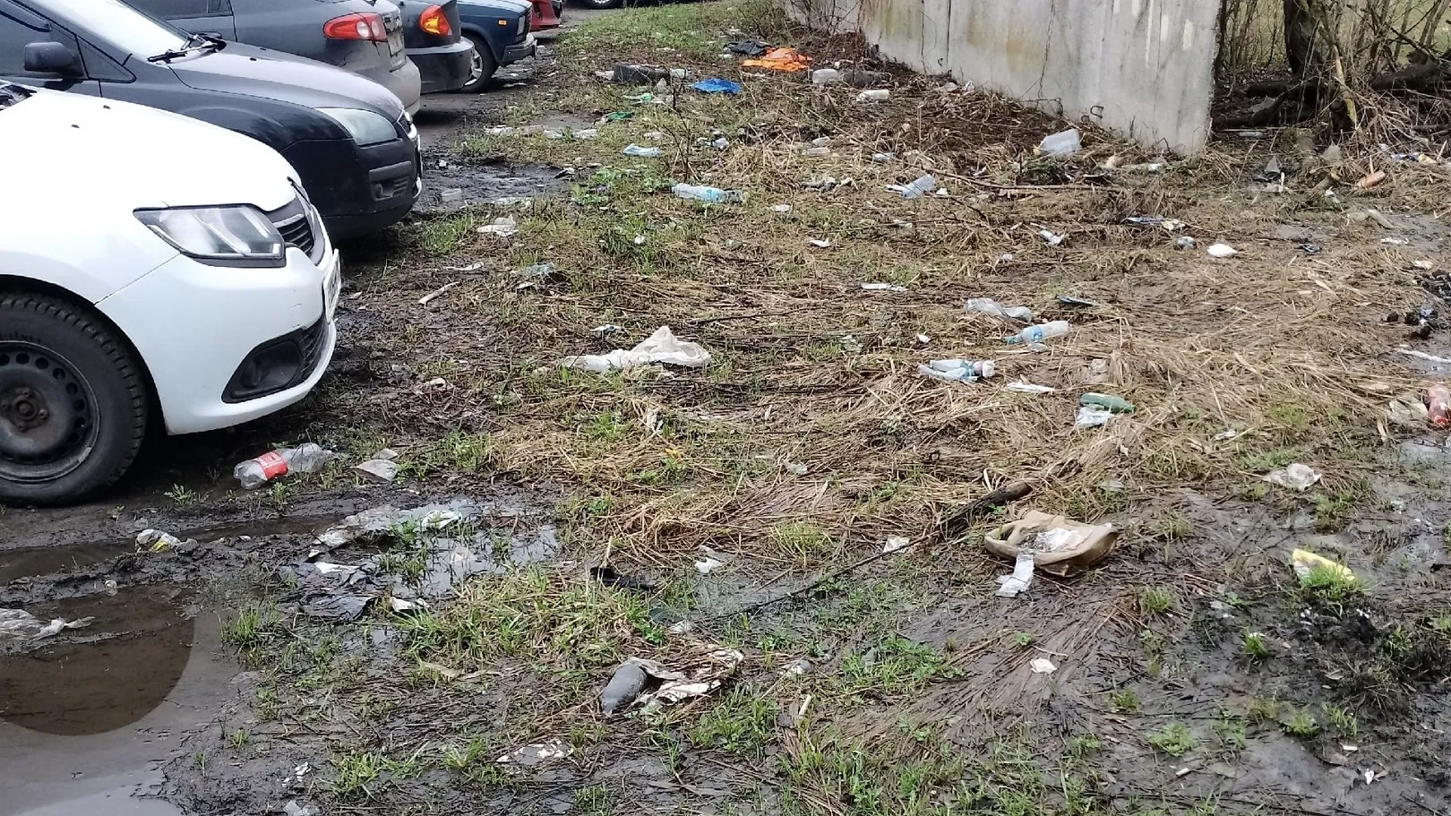 Фото: vk.com/Типичная Шатура (ТШ)