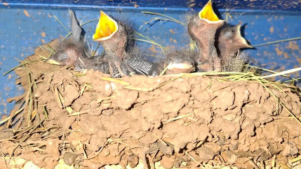 Фото: REGIONS/Юлия Габбасова