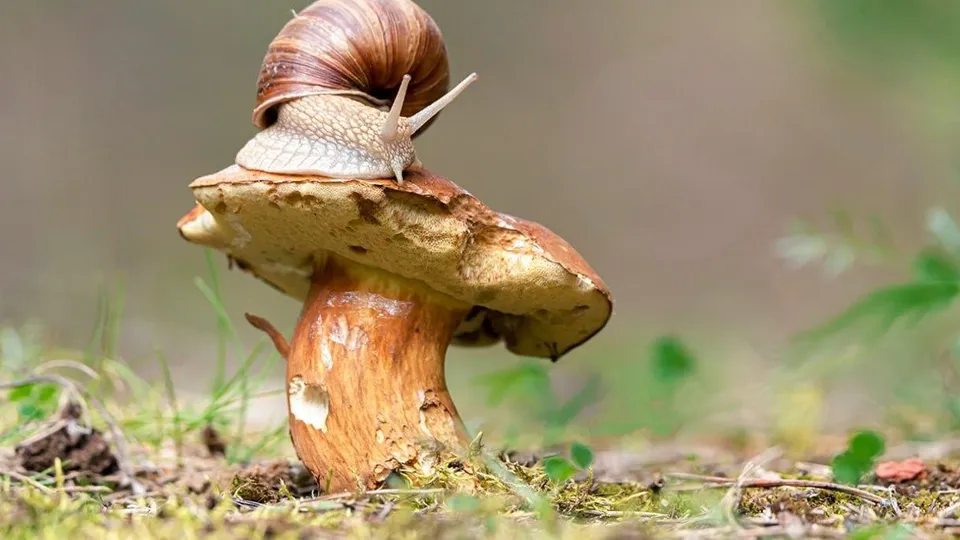 Фото: Андрей Киселев