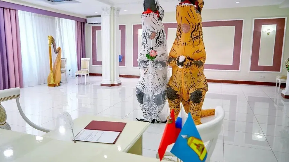 Фото: Министерство социального развития МО