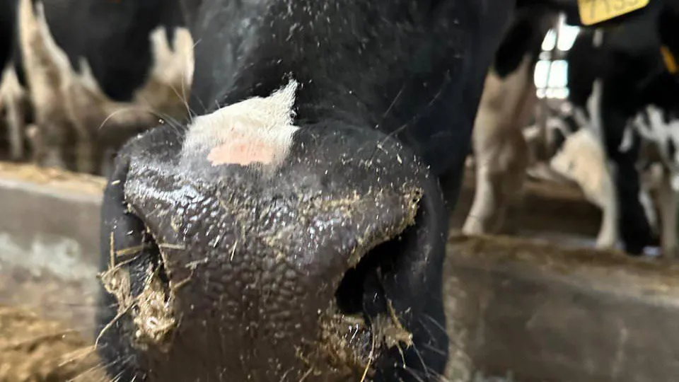 Источник фото: пресс-служба Минсельхозпрод МО