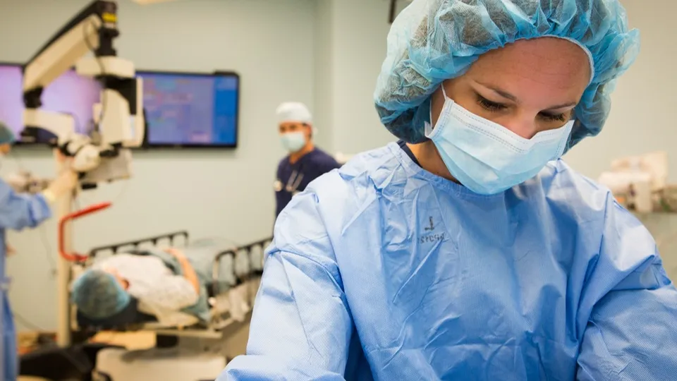 Фото: pxhere.com