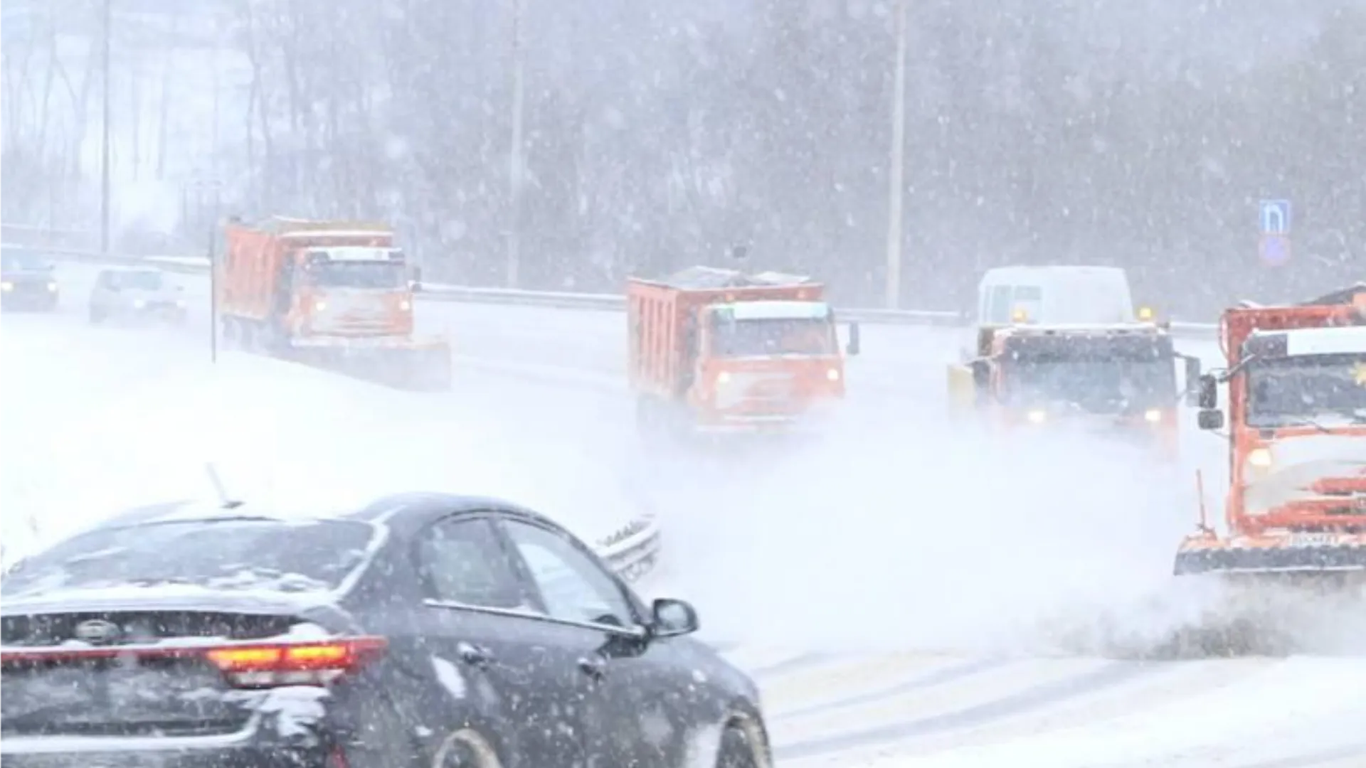 Фото: Минтранс Подмосковья