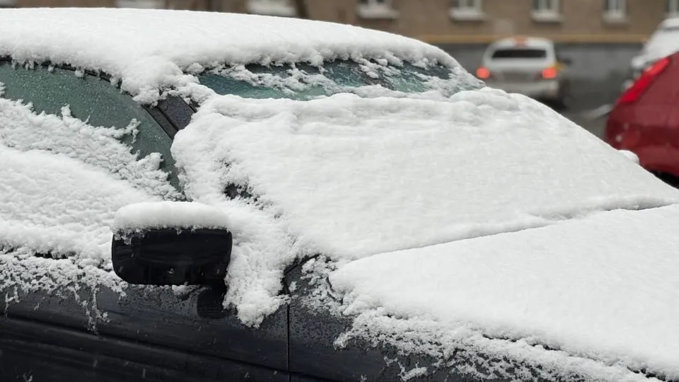 REGIONS/Полина Крачун