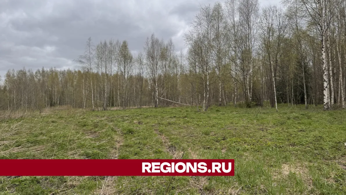 Фото: REGIONS/Татьяна Рунова