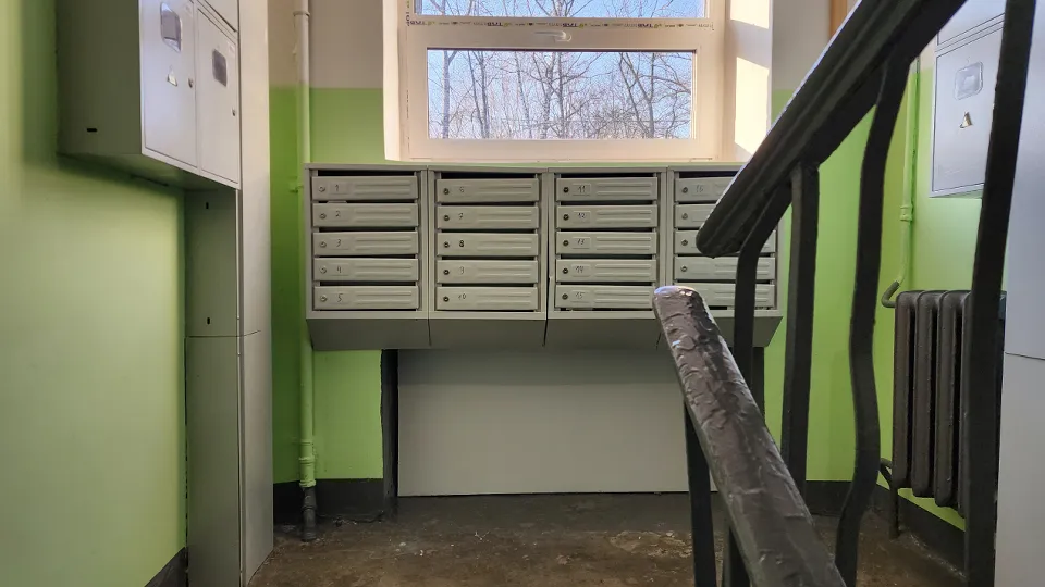 Фото: МедиаБанк Подмосковья/Ирина Моисеева