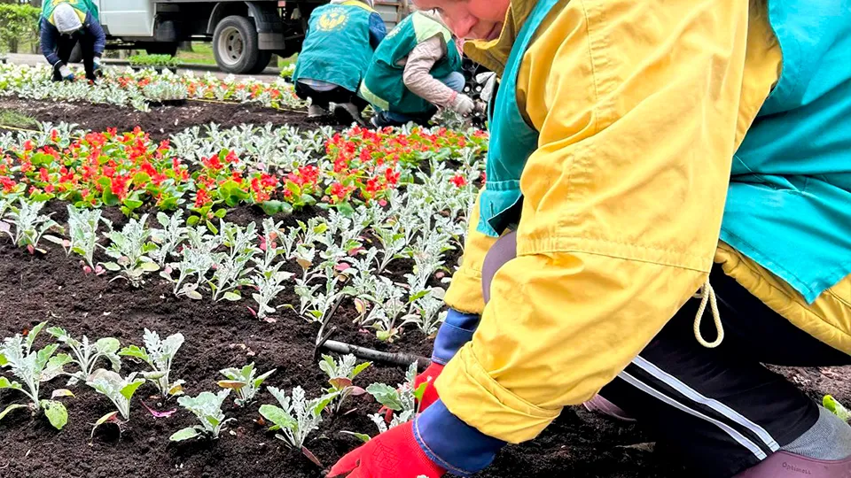 Фото: пресс-служба администрации г.о. Королев