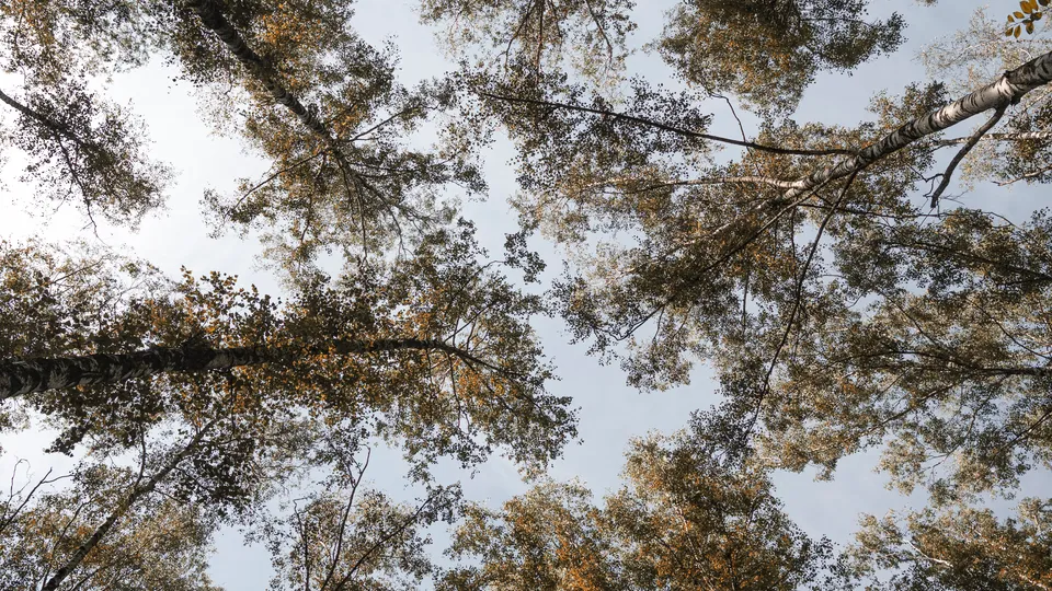 Фото: REGIONS/Наталия Надточая