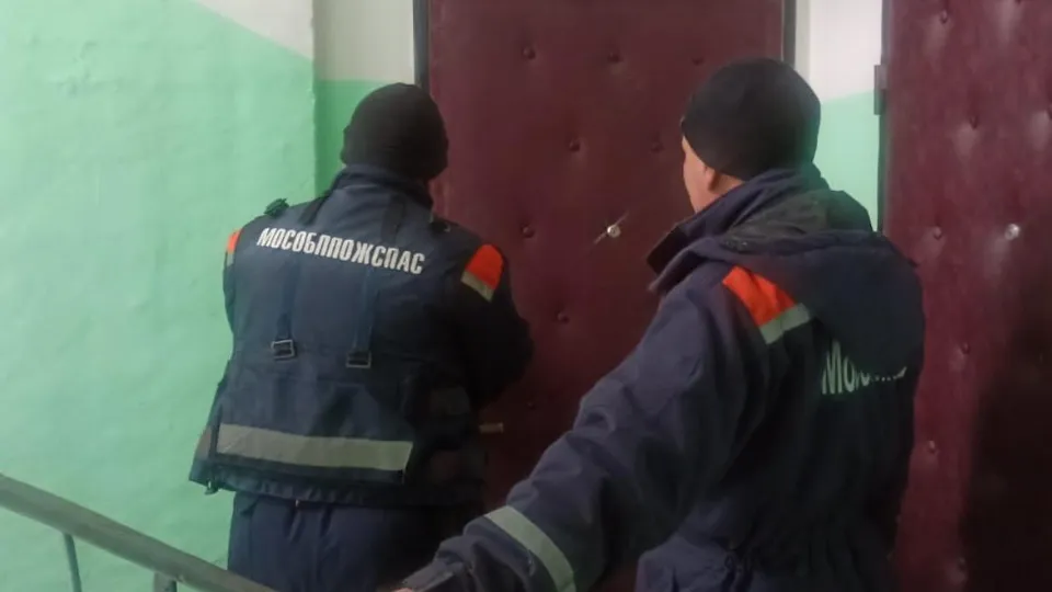 Фото: ГКУ МО «Мособлпожспас»