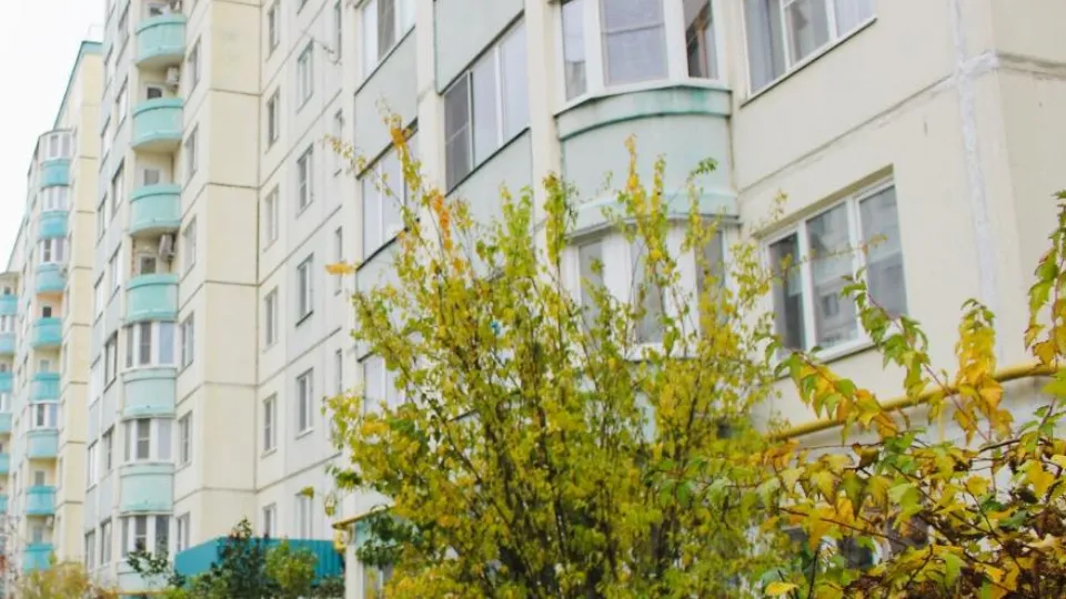 Фото: пресс-служба администрации г.о. Солнечногорск