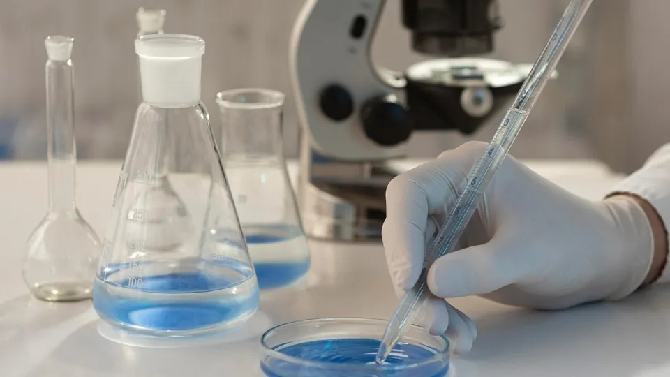 Фото: freepik.com