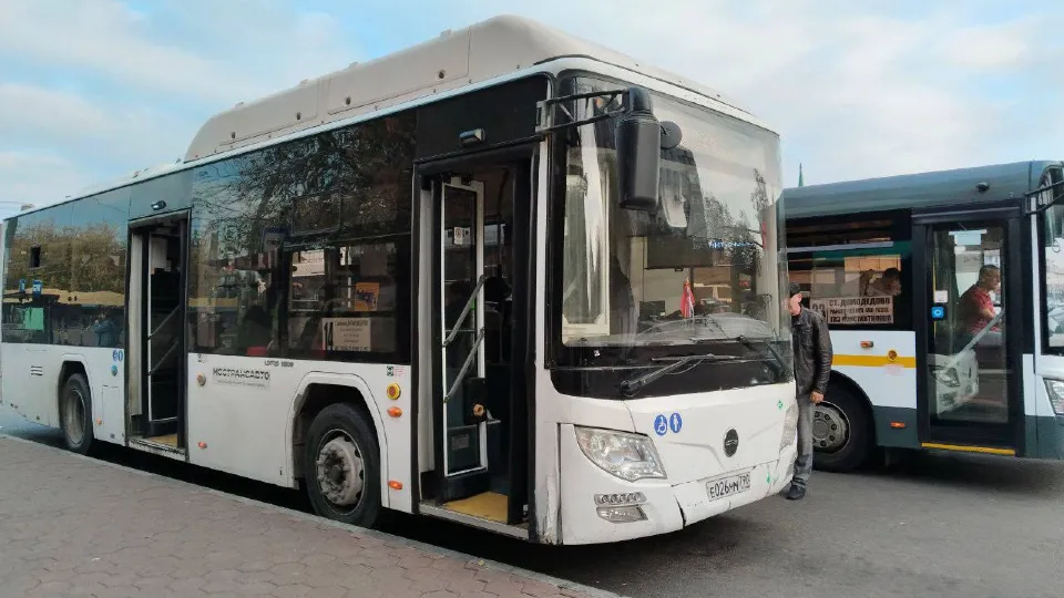 Фото: Анастасия Сараева