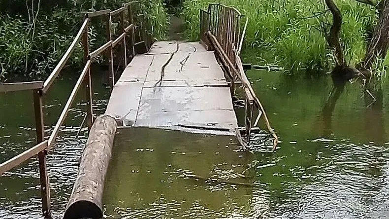 Олеся Мишина