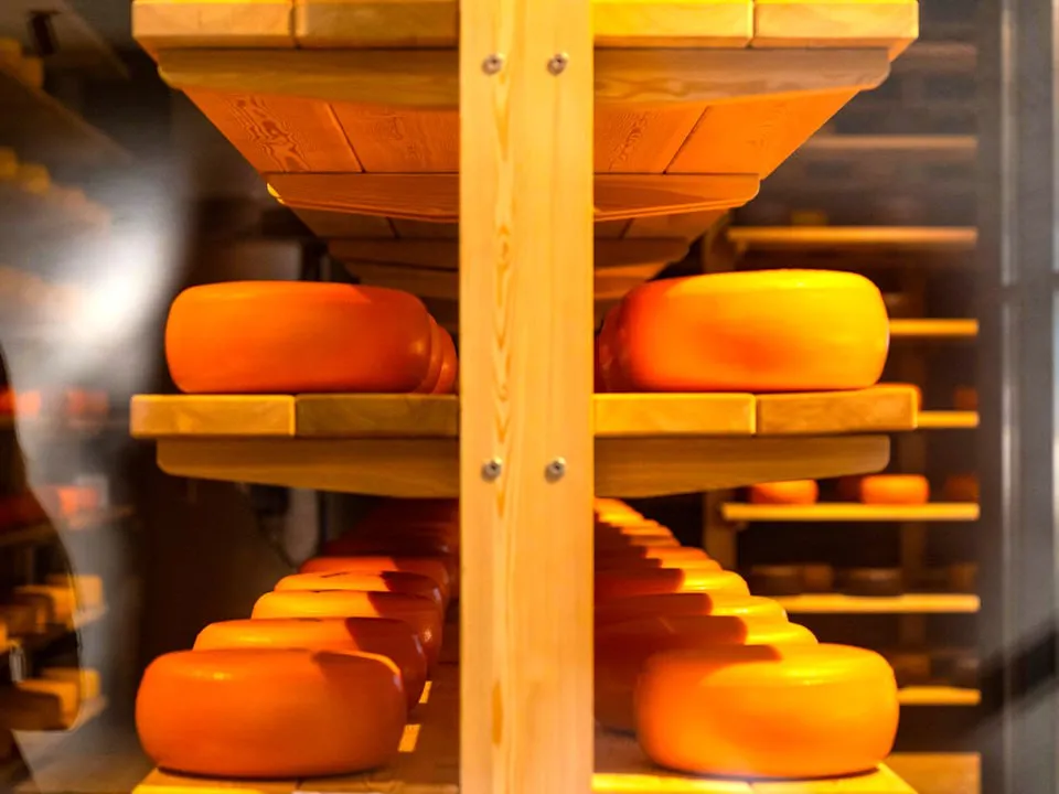 Фото: пресс-служба губернатора и правительства Московской области/Александра Степанова