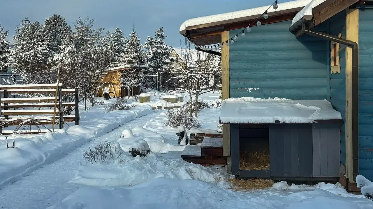 REGIONS/Полина Крачун