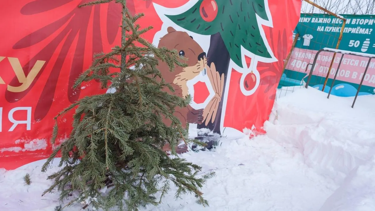 пресс-служба администрации г.о. Лыткарино