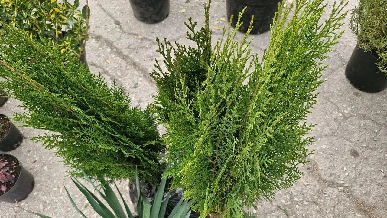 REGIONS/Наталья Надточая