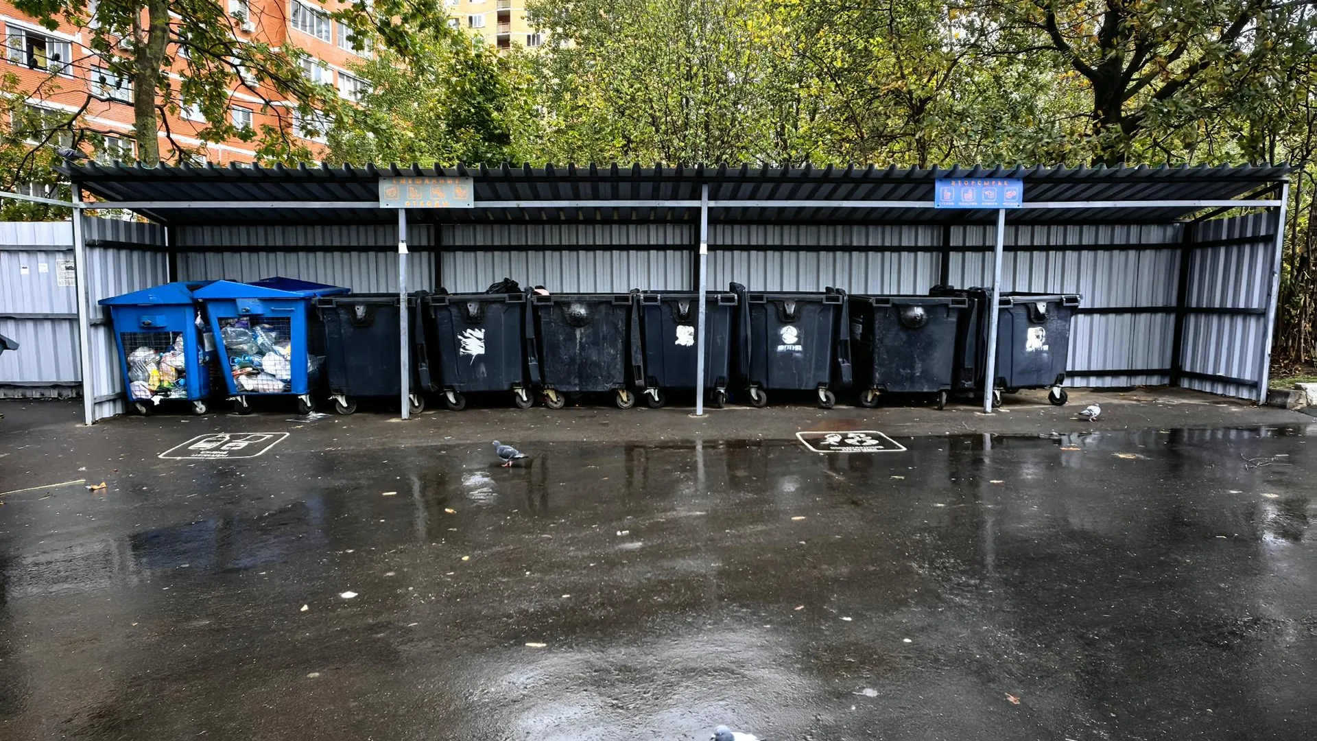 Елена Катасонова