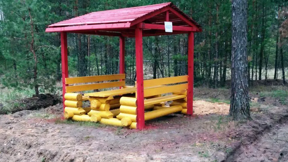 Фото: Комитет лесного хозяйства Московской области