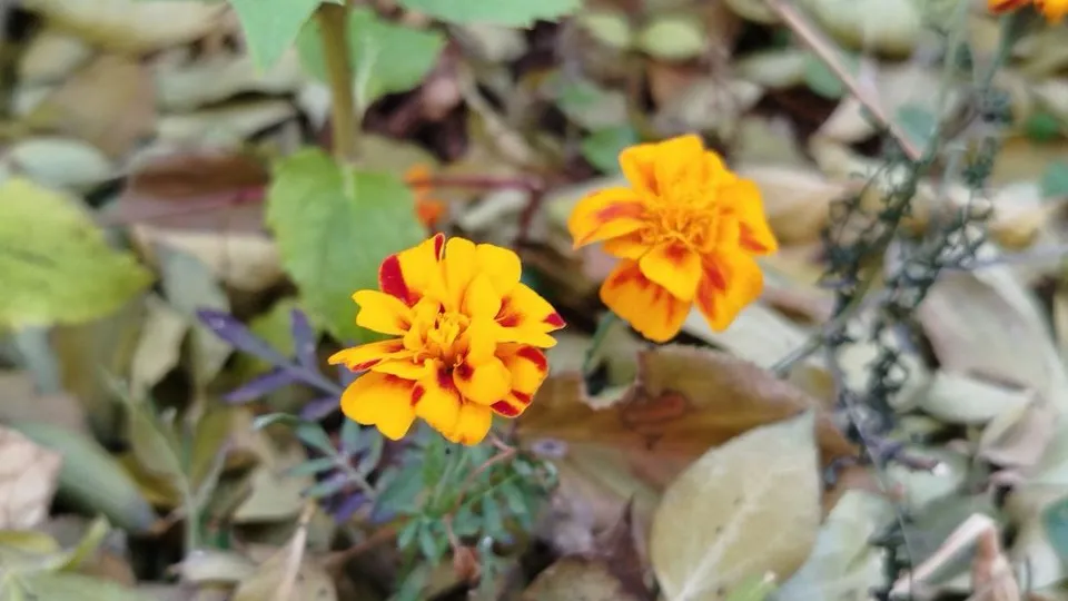 Фото: REGIONS/Юлия Куделькина