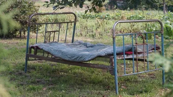 Фото: shutterstock.com