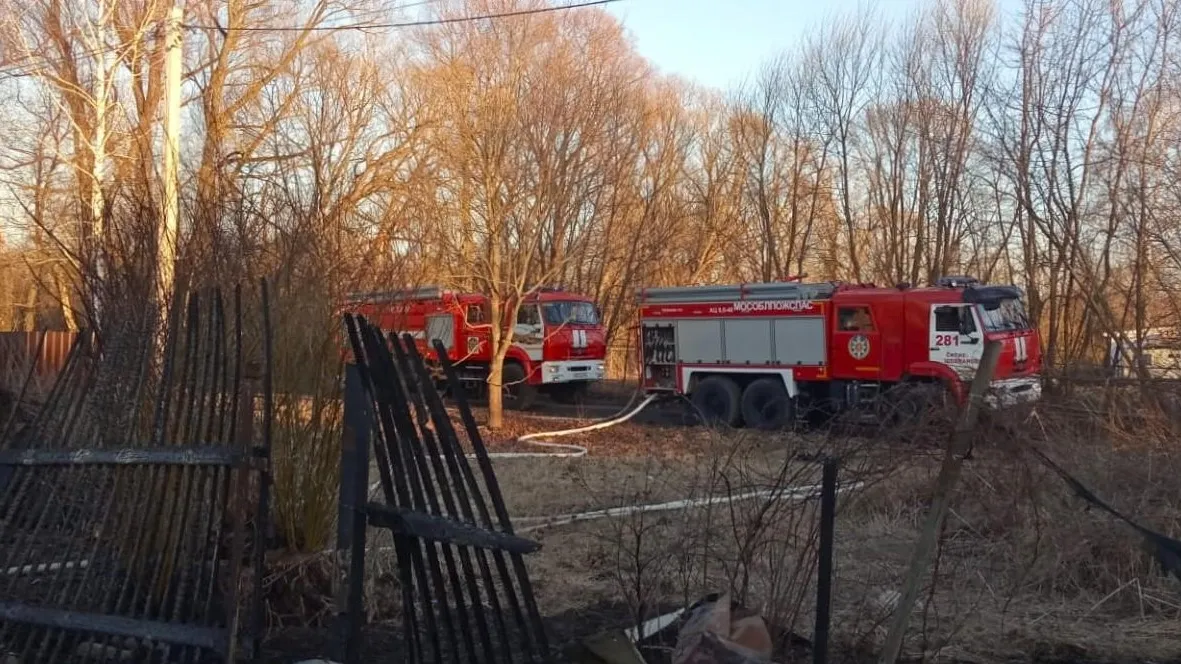 Фото: ГКУ МО «Мособлпожспас»