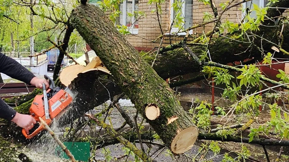 Фото: МедиаБанк Подмосковья/Андрей Алекин