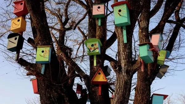 Еще пять сотен скворечников развесят в лесах Подмосковья к Международному дню птиц
