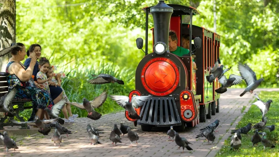 Фото: vk.com/Парки муниципального округа Чехов