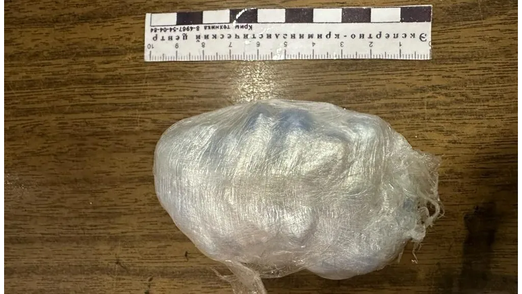 Фото: архив ЛУ МВД России на станции Москва-Курская