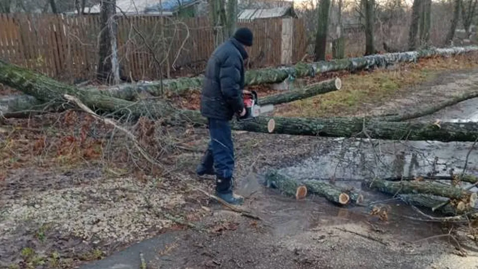 Фото: пресс-служба администрации г.о. Ступино