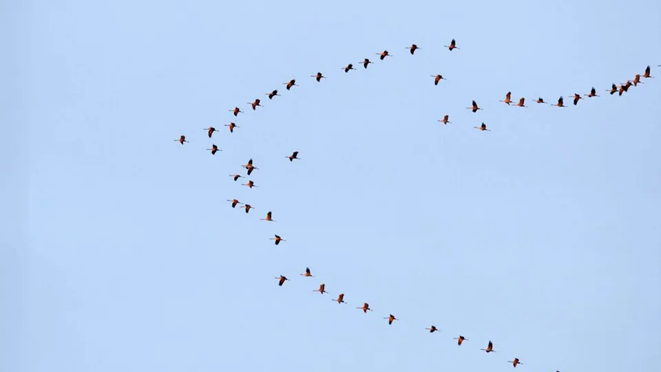 Фото: freepik.com