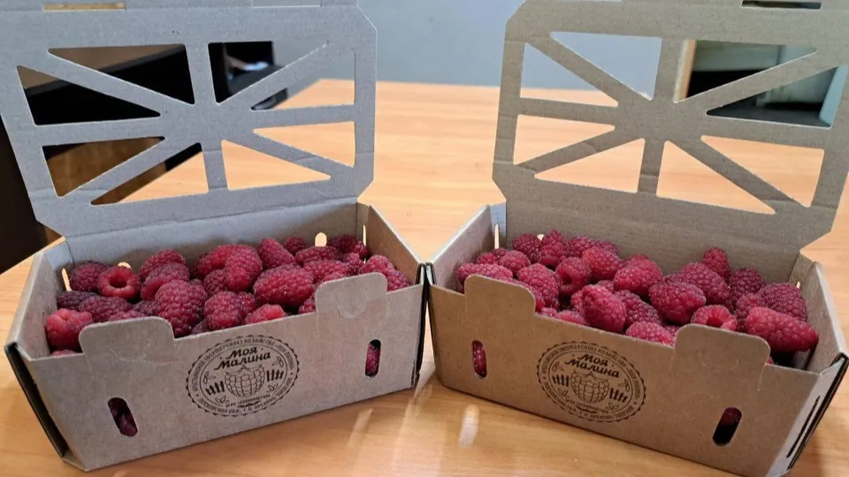 Фото: администрация Орехово-Зуевского округа