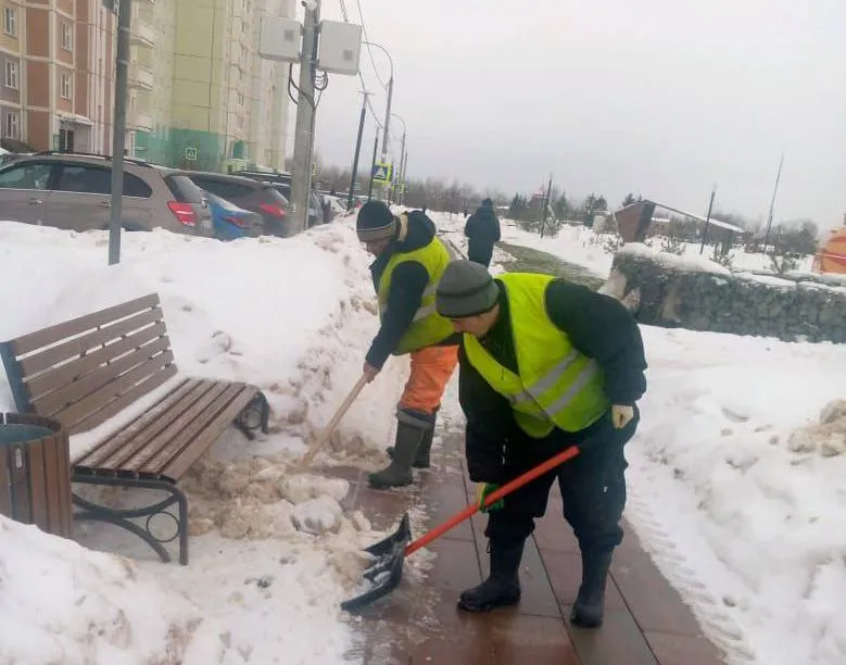 Фото: пресс-служба администрации г.о. Подольск