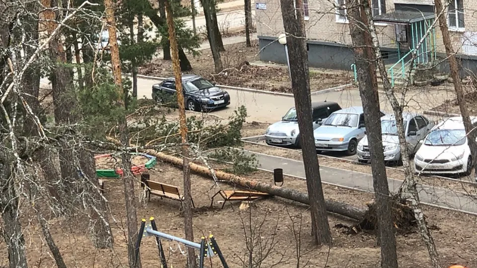 Фото: vk.com/Подслушано Протвино