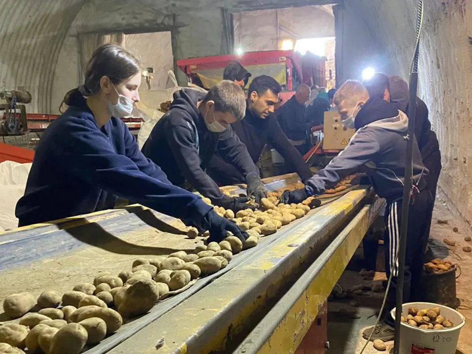 Фото: пресс-служба министерства сельского хозяйства и продовольствия Московской области