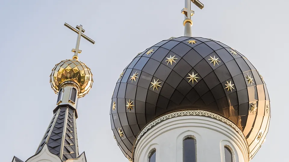 Фото: Издательство "Подмосковье"