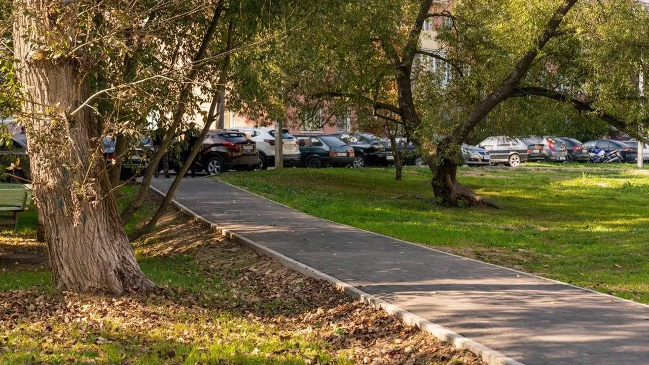 Фото: администрация г.о. Пушкинский