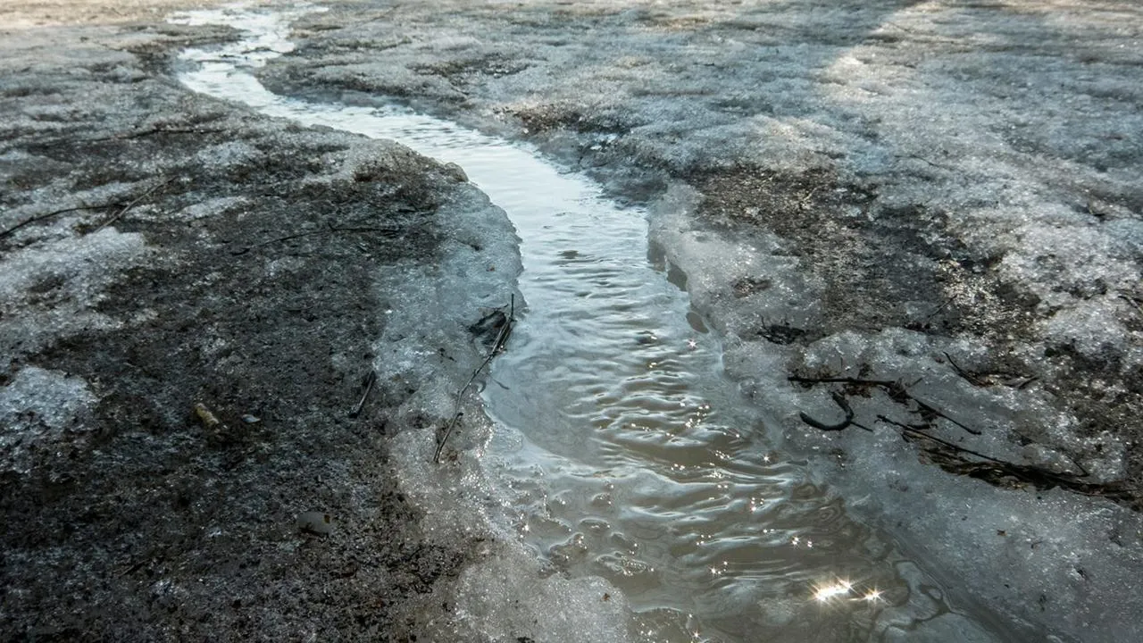 медиасток.рф