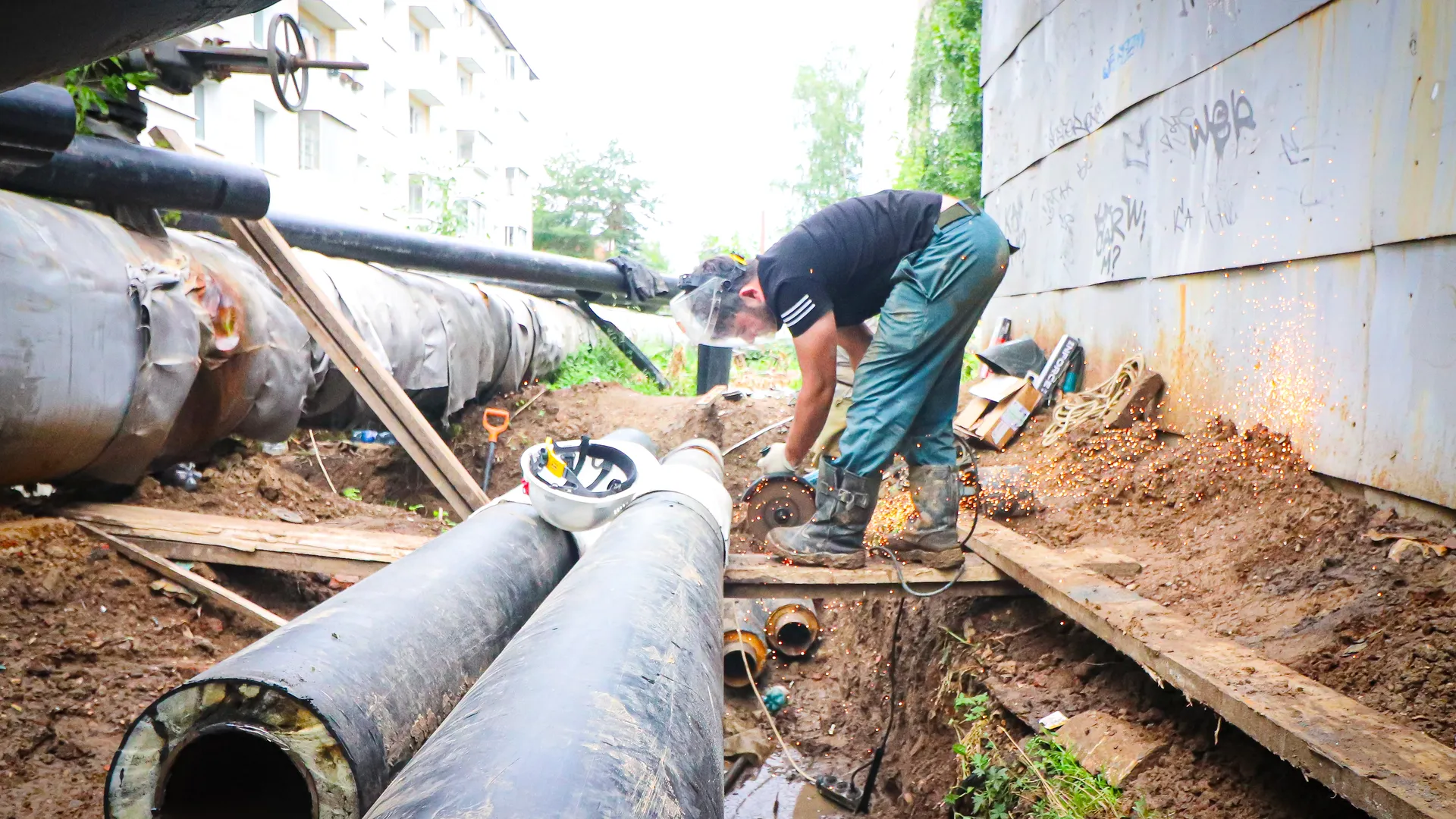 Фото: МедиаБанк Подмосковья/Данила Кирьянов