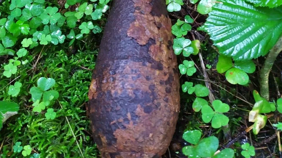 Фото: ГКУ МО «Мособлпожспас»