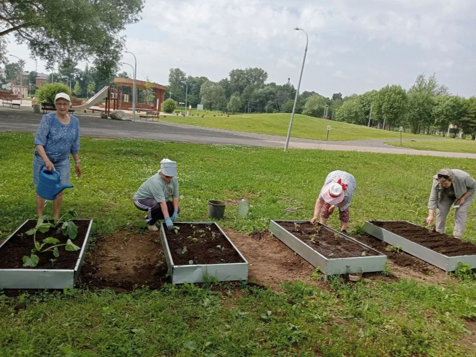 Фото: t.me/bronzabota