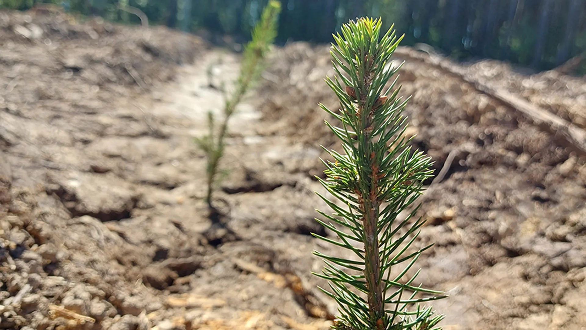 Фото: МедиаБанк Подмосковья/Наталья Акуленок