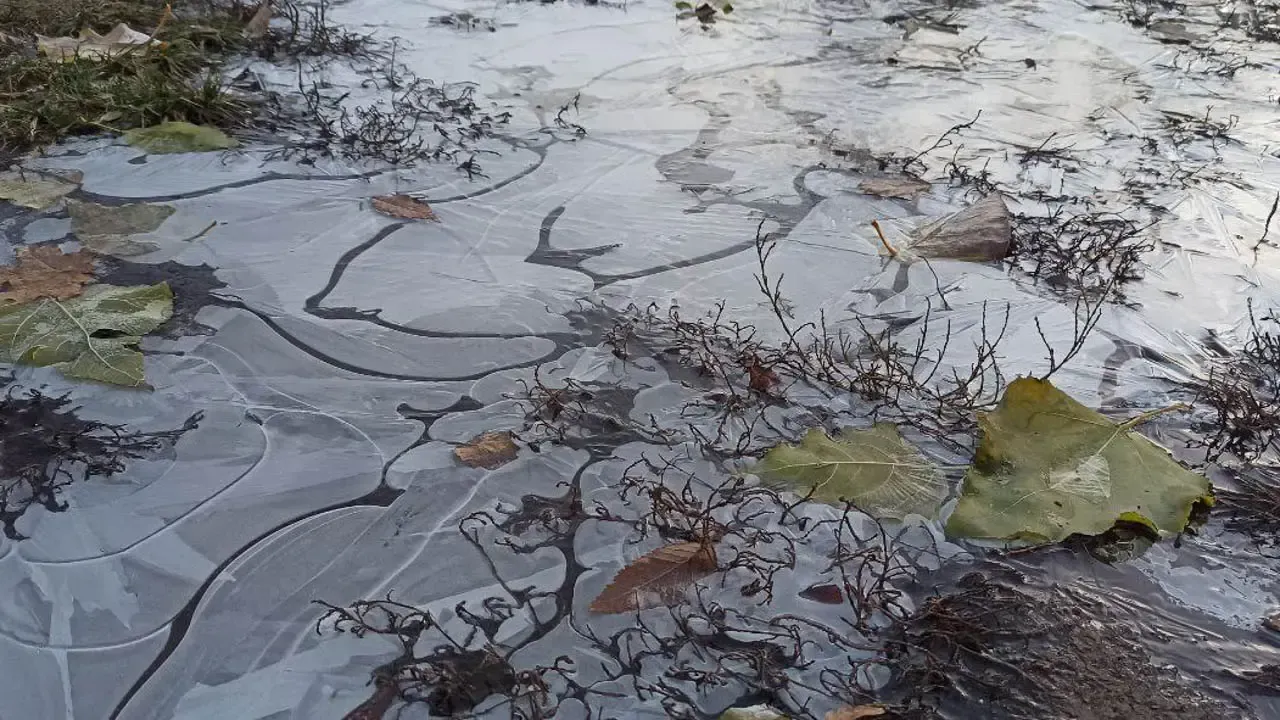 REGIONS/Эльвира Сафина