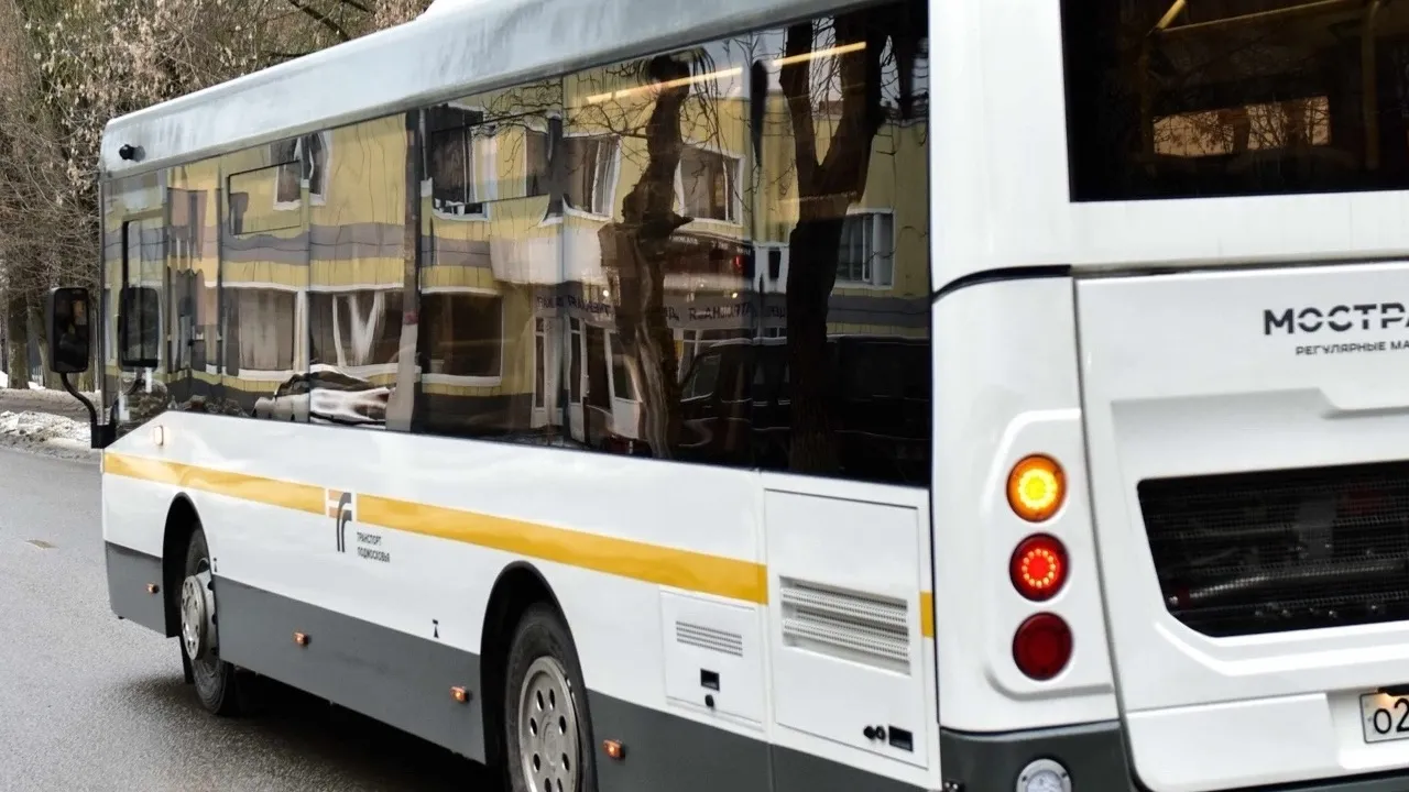 Фото: пресс-служба администрации г.о. Химки