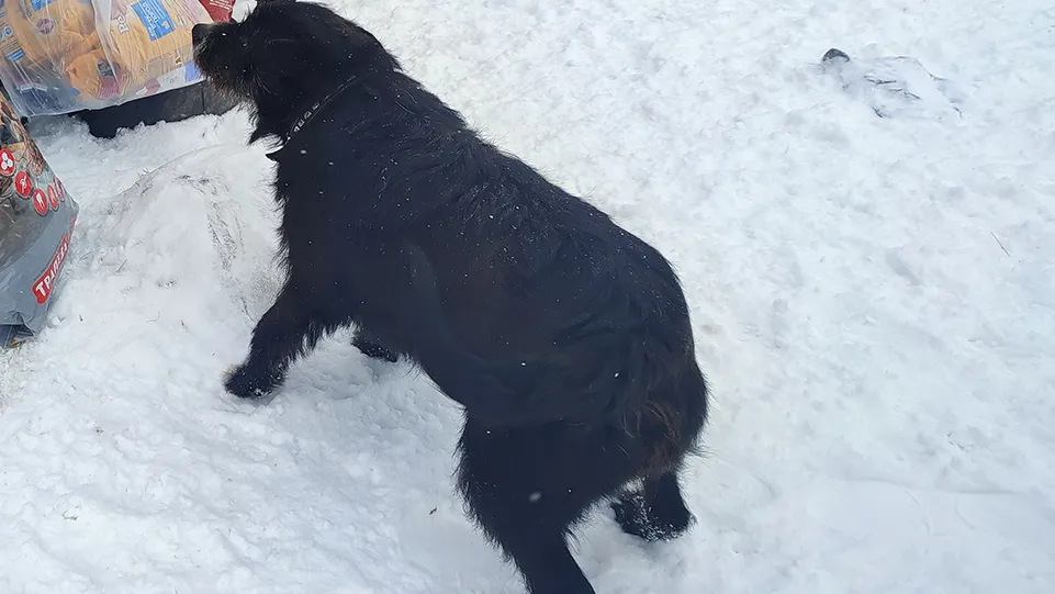 Фото: Дубров Иван