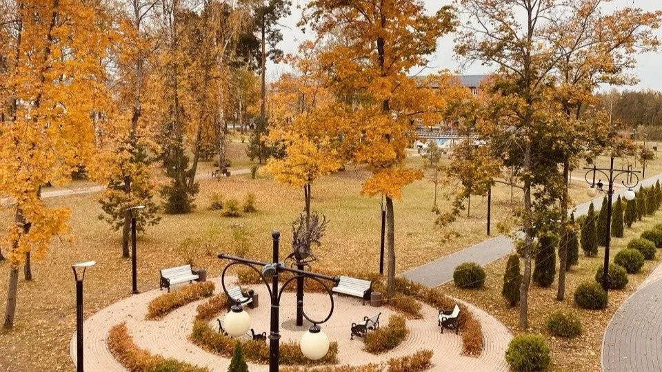 Фото: Пресс-служба администрации городского округа Шатура