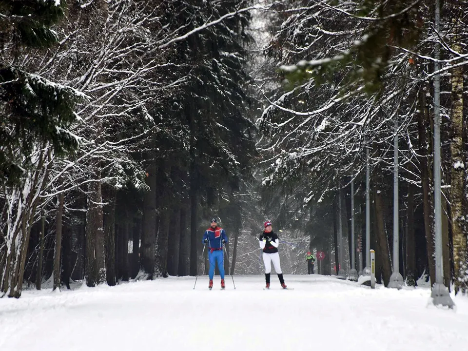 Фото: медиасток.рф