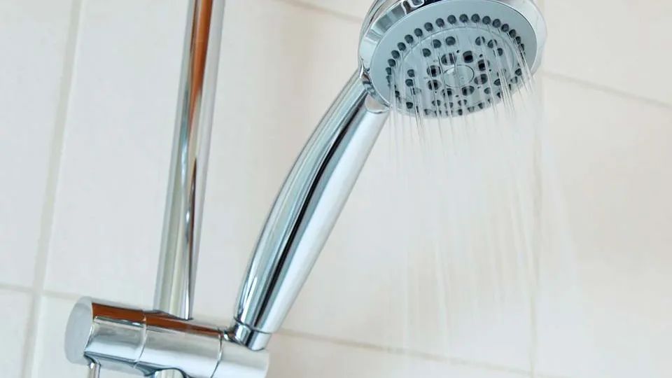 Фото: pxhere.com