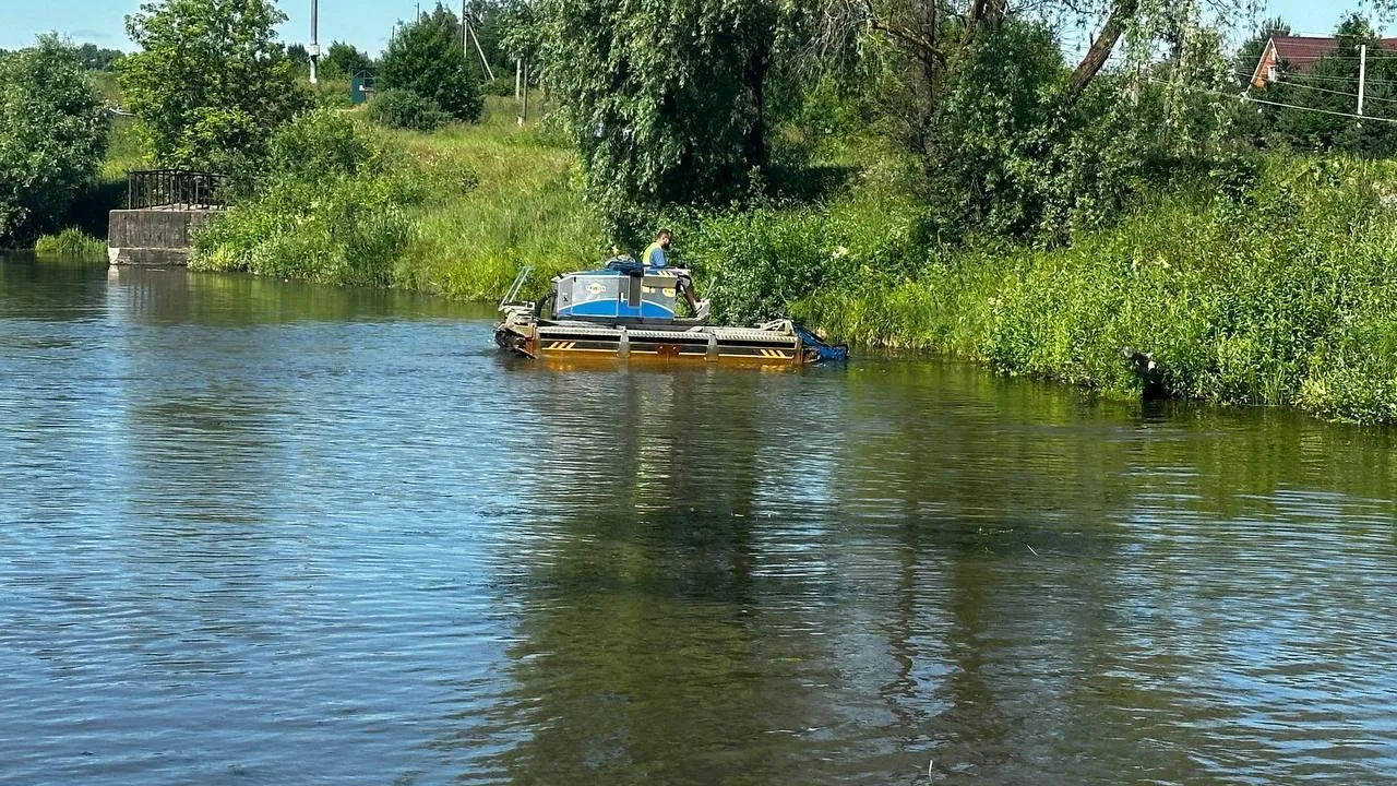 В Подмосковье по окончанию нерестового периода приступили к расчистке прудов и озер